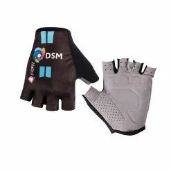 Nalini Summer Gloves - Team DSM