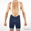 Santini Iron Bibshorts - Trek-Segafredo
